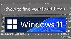 How to Find your IP Address on Windows 11 [2 Easy Ways]