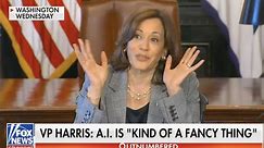 ‘I’m Worried For Her’: Fox’s Harris Faulkner Points Out Recent Kamala Harris Gaffes Including ‘Counting The Letters Of AI’
