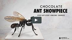 Chocolate Ant Showpiece Tutorial