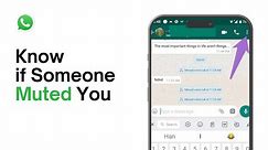 How To Know If Someone Muted You On WhatsApp [easy]