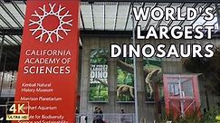 California Academy of Sciences Museum Worlds Largest Dinosaurs in San Francisco