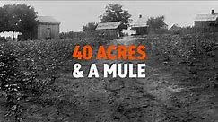 Land: Giving Rise to the Famous Phrase 40 Acres & a Mule