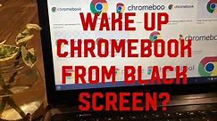 Chromebook Doesn't Wake Up? Only Black Screen?