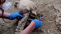 Two more ancient skeletons found in Italy's Pompeii