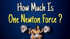 Force | How much is One Newton ?