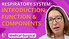Respiratory System: Introduction, Function & Components - Medical-Surgical | @LevelUpRN