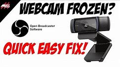 FROZEN WEBCAM DURING LIVESTREAM! (Quick and Easy Fix!)