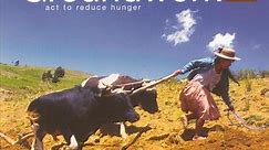 Various - Groundwork: Act To Reduce Hunger