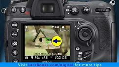 Nikon D300s: Live View Modes—Hand-Held vs. Tripod