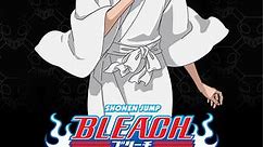 Bleach (English Dubbed): Season 2 Episode 43 43