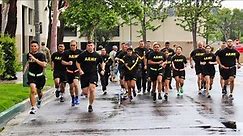 US Army Physical Fitness Training | US Military Archive | MFA