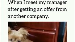 Me and My Manger from another Company | Corporate & Manager #officehumour #funnymeme #manager #funny