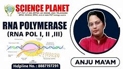 RNA Polymerase (RNA POL I, II ,III) by Anju Mam of Science Planet!