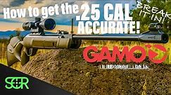 25 Caliber Gamo Magnum - HOW TO MAKE IT ACCURATE? BREAK IT IN!