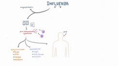 Influenza Infection - Clinical Symptoms and Presentation