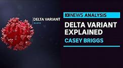 What is the 'Delta variant' and how did it get into the community? | ABC News