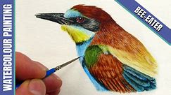 Bee-eater in Watercolour by Paul Hopkinson