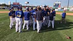 Your Wilmington Blue Rocks are the... - Wilmington Blue Rocks