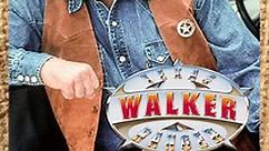 Walker, Texas Ranger: Season 5 Episode 25 Texas vs. Cahill