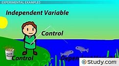 Independent & Dependent Variables | Definition & Examples