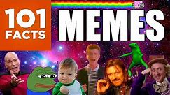 101 Facts About Memes