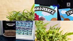Ben & Jerry's Looking to Release CBD-Infused Ice Cream - video Dailymotion