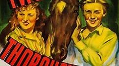 Two Thoroughbreds (1939) - Movie