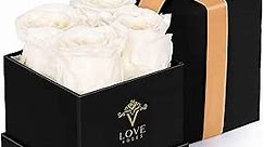 VLove® Forever Preserved Roses in a Box | Eternal Real Roses That Last Over A Year | Naturally Preserved Flowers | Perfect Valentines Day Rose Gifts for Her | The Chelsea Black Box: 4 White