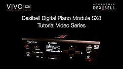 Dexibell Digital Piano Module SX8 • Tutorial Video Series Introduction