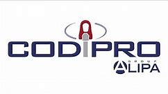 CODIPRO - The specialist in swivel lifting rings