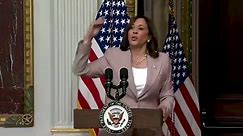 "You think you just fell out of a coconut tree?!" Kamala Harris' latest word salad will make your head spin...