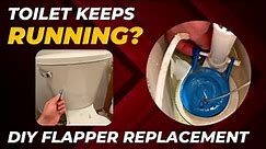 Toilet KEEPS RUNNING? How To Fix: Easy Flapper Replacement