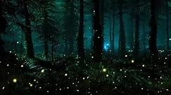 2 Hour Night Ambient Sounds - Crickets and Fireflies - Sleep and Relaxation Meditation Sounds