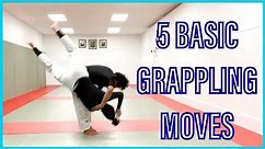 5 basic grappling techniques