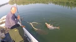 Pecanje šarana na Savi - Dubinsko pecanje šarana I deo | Fishing carp in river