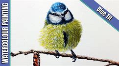 Blue Tit in Watercolour with Paul Hopkinson