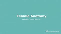 1.11 Female Anatomy
