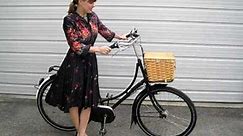 My Dutch Bicycle