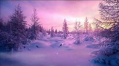 Fine Art TV Screensaver: Tranquil Snowy Winter Landscapes