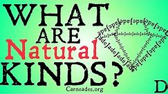 What are Natural Kinds? (Philosophical Definition)