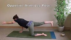 GOLO® 30-Day Core Challenge- Opposite Arm/Leg Raise