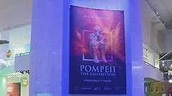 New Pompeii exhibit opening at Museum of Science and Industry