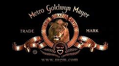 Metro-Goldwyn-Mayer Pictures (2003)