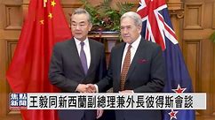 王毅同新西兰副总理兼外长彼得斯会谈