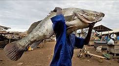 Fishermen woes: Lake Victoria-Africa's largest lake.
