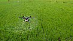 How drones could be the future of Indian farming