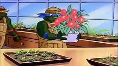 Teenage Mutant Ninja Turtles Season 2 Episode 7 (1987)