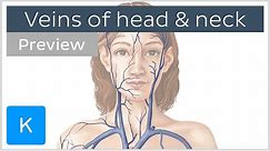 Veins of the head and neck (preview) - Human Anatomy | Kenhub
