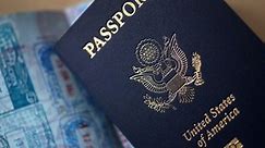 Pay Your Taxes or Lose Your Passport