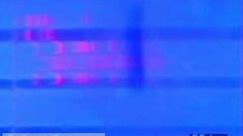 DNA Fingerprinting (Britannica.com)